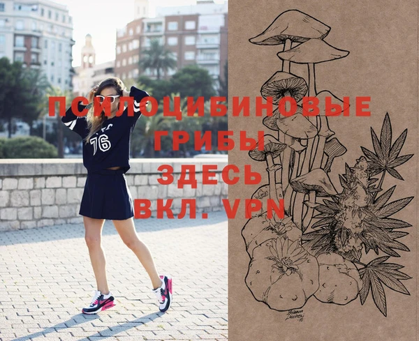 дживик Баксан