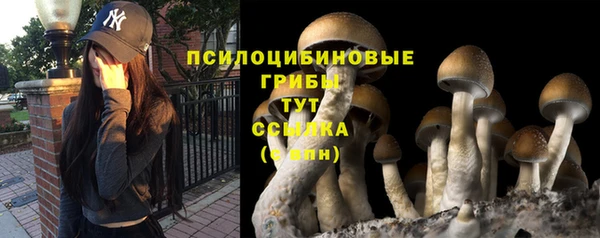 Альфа ПВП Балабаново