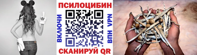 закладка  Дедовск  hydra ТОР  Псилоцибиновые грибы GOLDEN TEACHER 